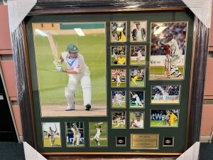 R.Ponting Collage pic